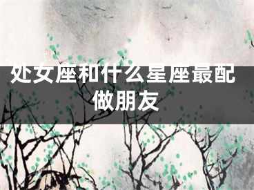 处女座和什么星座最配做朋友