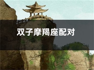 双子摩羯座配对