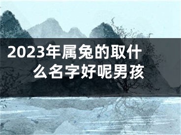 2023年属兔的取什么名字好呢男孩