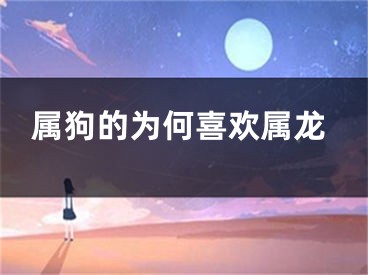 属狗的为何喜欢属龙