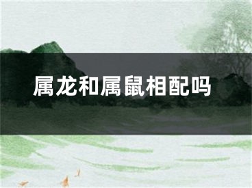 属龙和属鼠相配吗