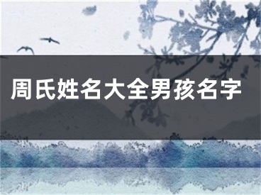 周氏姓名大全男孩名字