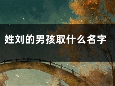 姓刘的男孩取什么名字