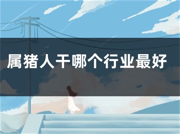 属猪人干哪个行业最好
