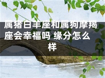 属猪白羊座和属狗摩羯座会幸福吗 缘分怎么样