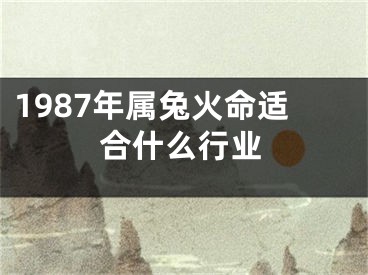 1987年属兔火命适合什么行业