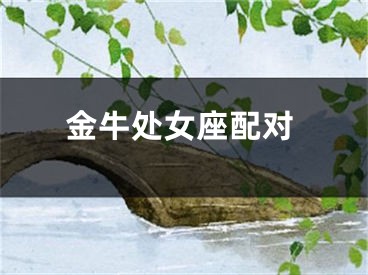 金牛处女座配对