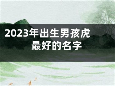 2023年出生男孩虎最好的名字
