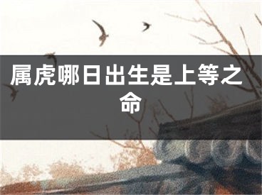 属虎哪日出生是上等之命