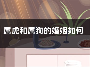 属虎和属狗的婚姻如何
