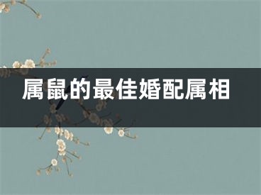 属鼠的最佳婚配属相