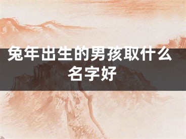 兔年出生的男孩取什么名字好