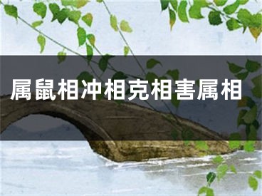 属鼠相冲相克相害属相