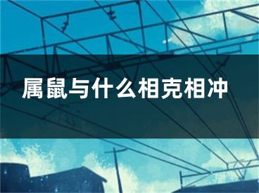 属鼠与什么相克相冲