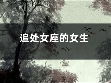 追处女座的女生