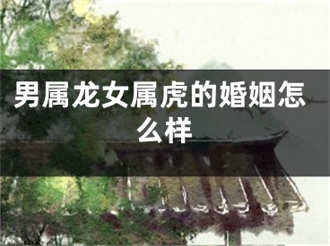 男属龙女属虎的婚姻怎么样