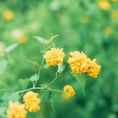 一分钟pk10赛车App